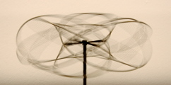 Computerlabor Mathematik