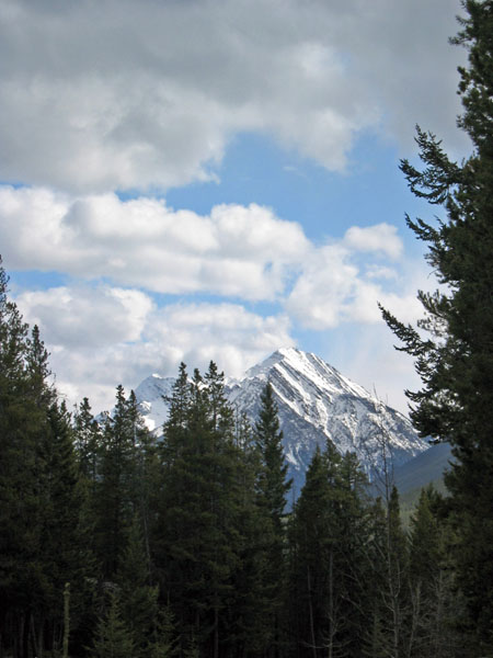 IMG_3095